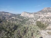 En environnement fabuleux En environnement fabuleux